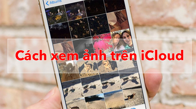 Xem ảnh iCloud: Khám phá những khoảnh khắc tuyệt vời đã được lưu trữ trên iCloud bằng cách xem ảnh trực tiếp trên thiết bị. Thưởng thức những bức ảnh yêu thích mọi lúc mọi nơi với khả năng truy cập đơn giản và thuận tiện.