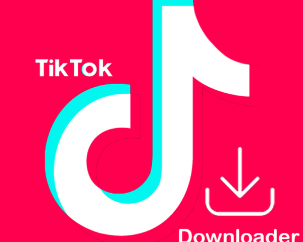 Tải video TikTok không logo bằng Tik Tok Downloader